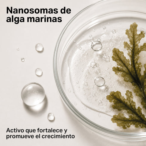 ESTÁTICA | Gel de cejas