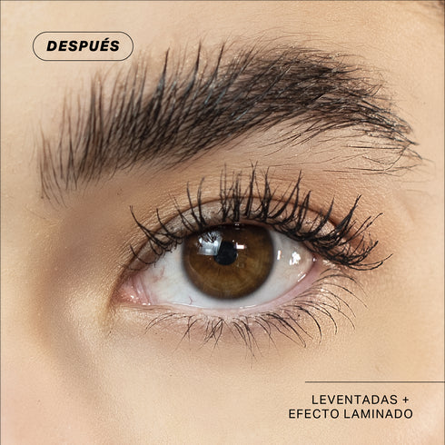 ESTÁTICA | Gel de cejas