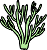 nanosoma