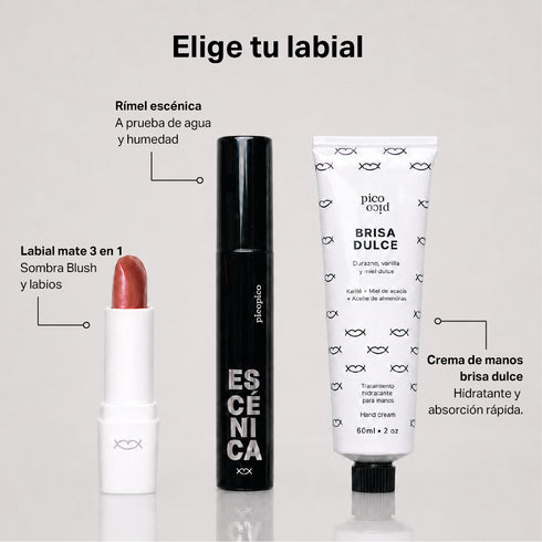 Set Todo en Uno | Elige tu labial